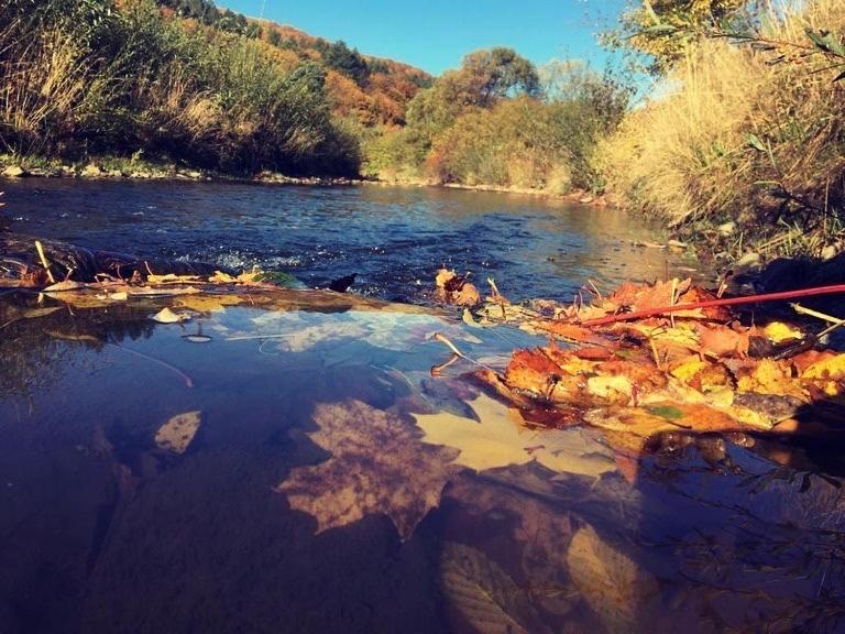 Zagroda Kopytkowo Ropica Gorna Exteriér fotografie