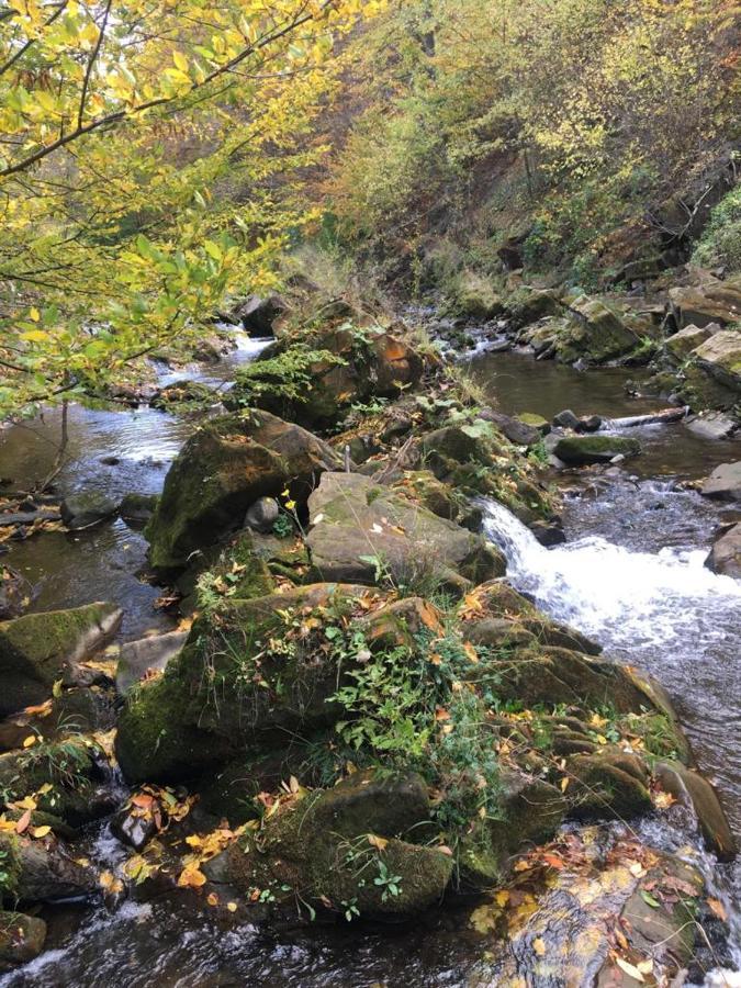 Zagroda Kopytkowo Ropica Gorna Exteriér fotografie